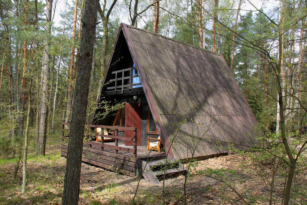Domki W Wildze Skurcza Esterno foto
