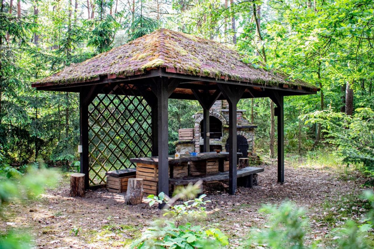 Domki W Wildze Skurcza Esterno foto