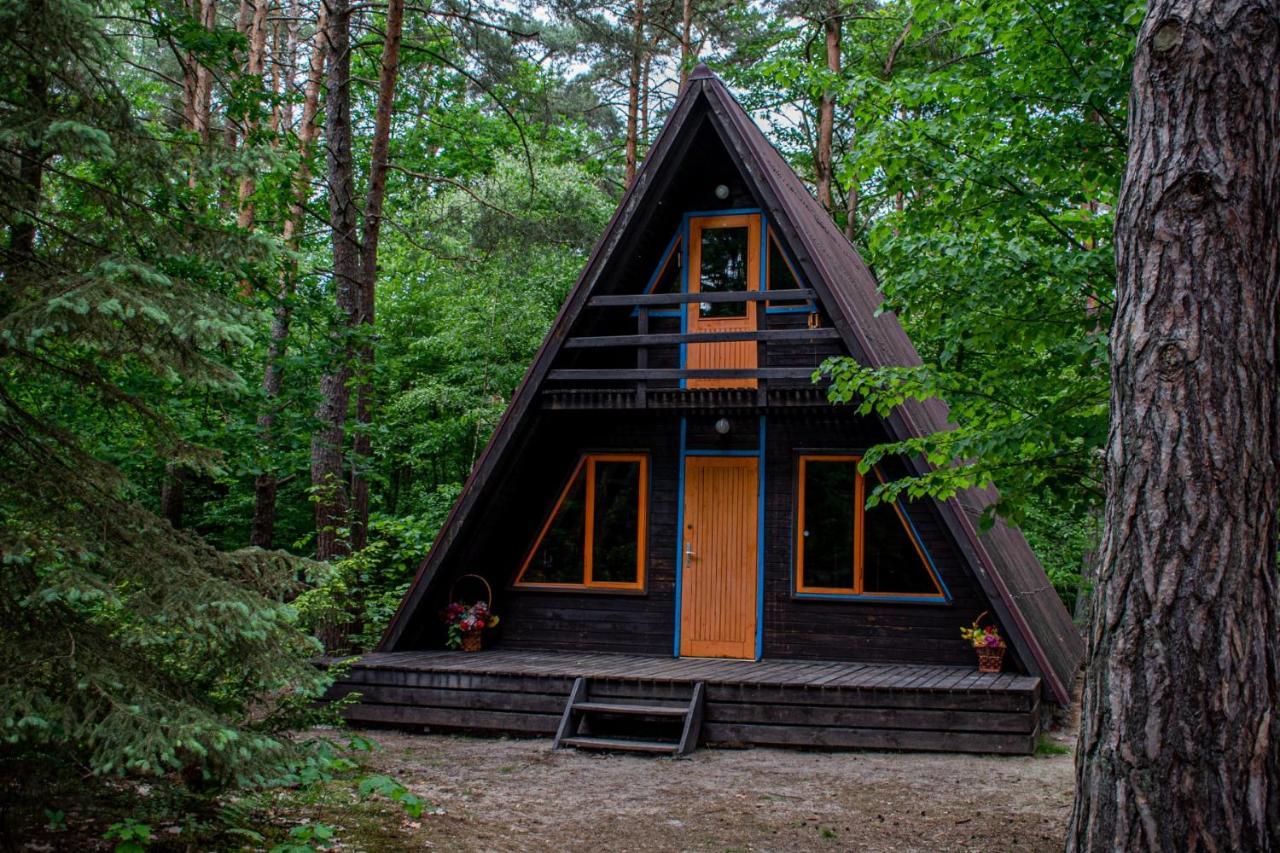 Domki W Wildze Skurcza Esterno foto